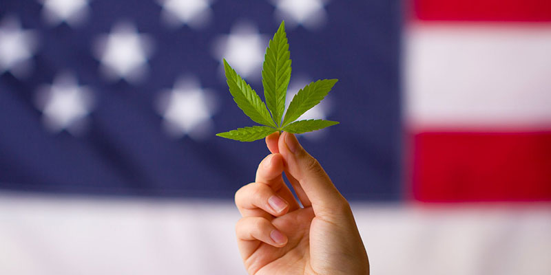 Virginia becomes one of the first Southern States to legalize Marijuana.