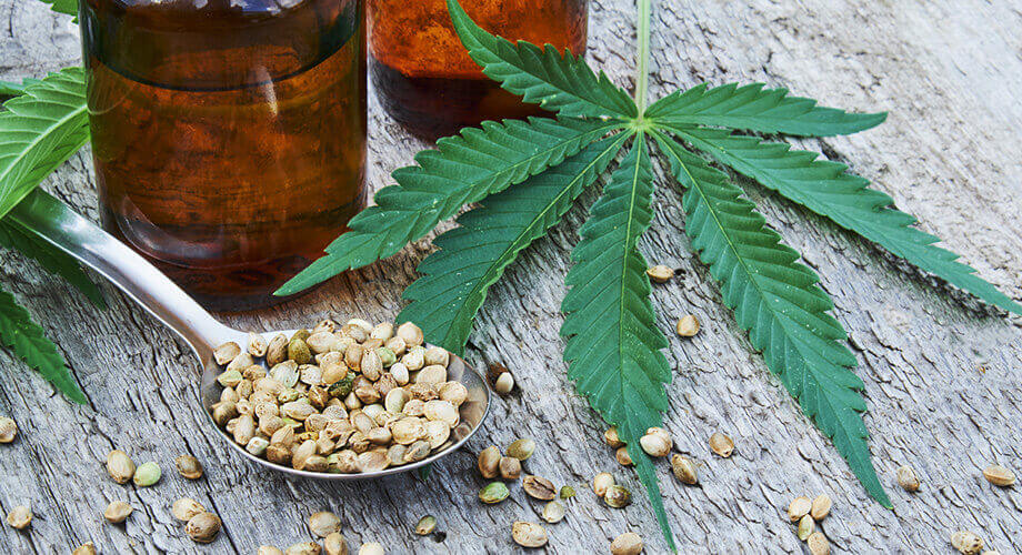 Few Benefits of CBD Therapy- Nova Cannabis Consultants